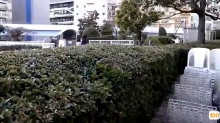2020日本黄区免费一区|亚洲精品99久久久久中文字幕